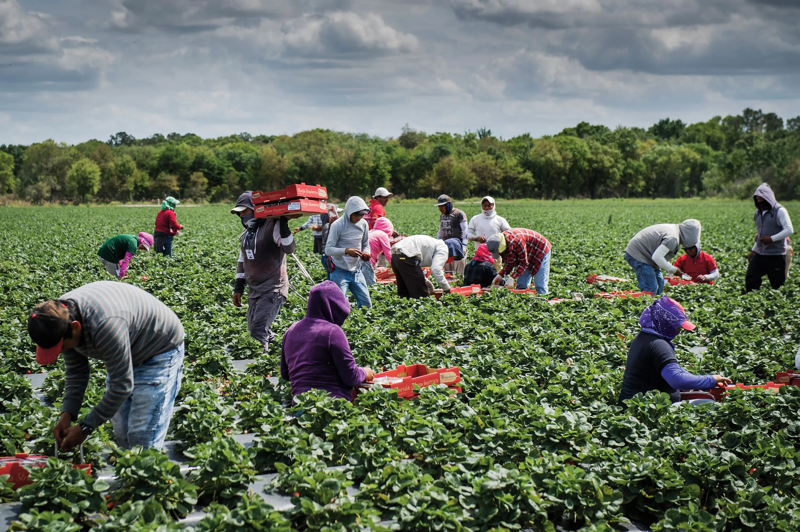 Farmers: The unsung heroes of society