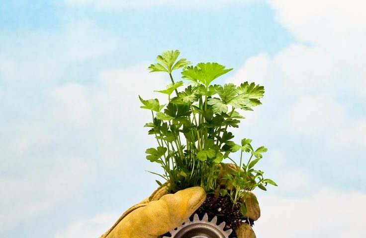 Sustainable agriculture